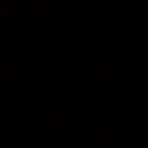 Meet your Posher, Paige